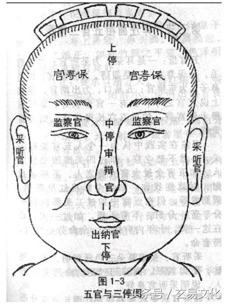 东五行 鼻子形狀 面相